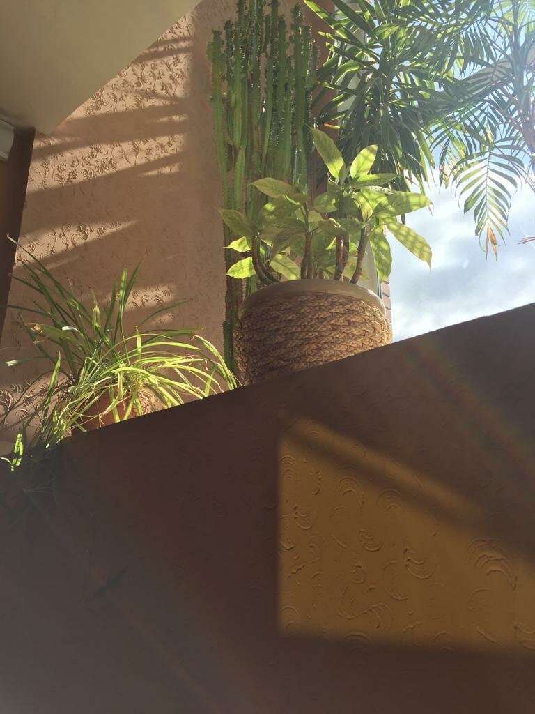 Гостиница Ливадия Истра-48