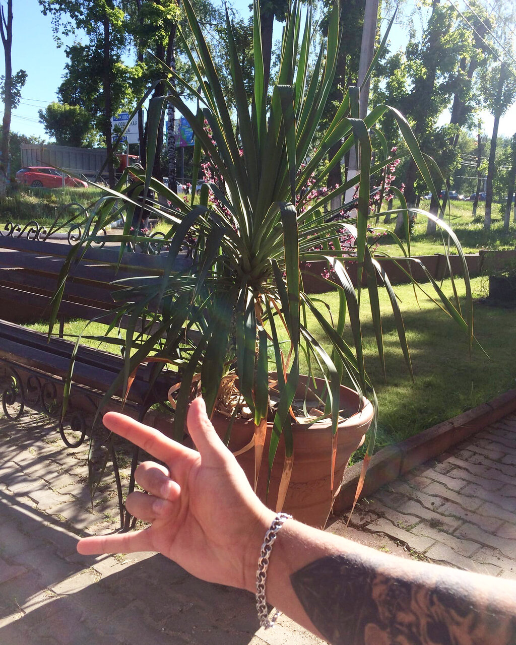 Гостиница Ливадия Истра-108