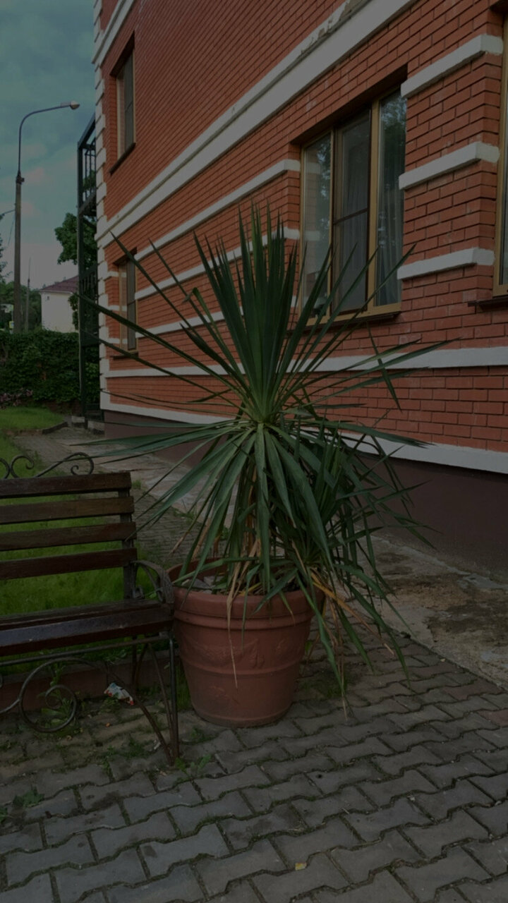 Гостиница Ливадия Истра-112