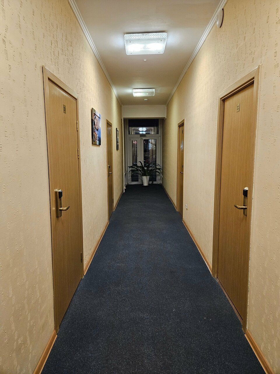 Гостиница Ливадия Истра-131