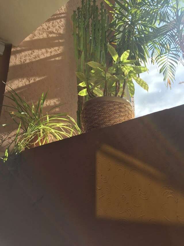 Гостиница Ливадия Истра-47