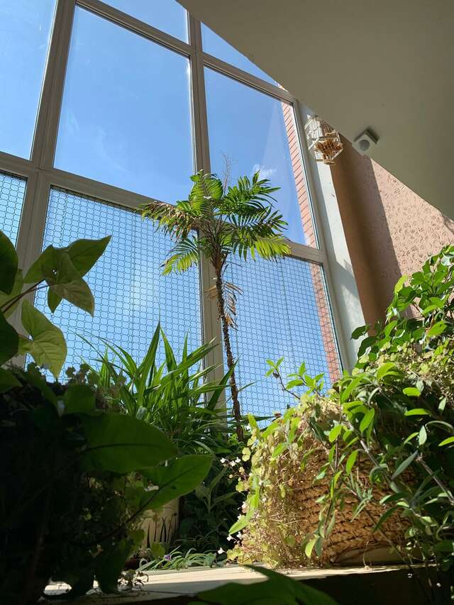 Гостиница Ливадия Истра-101