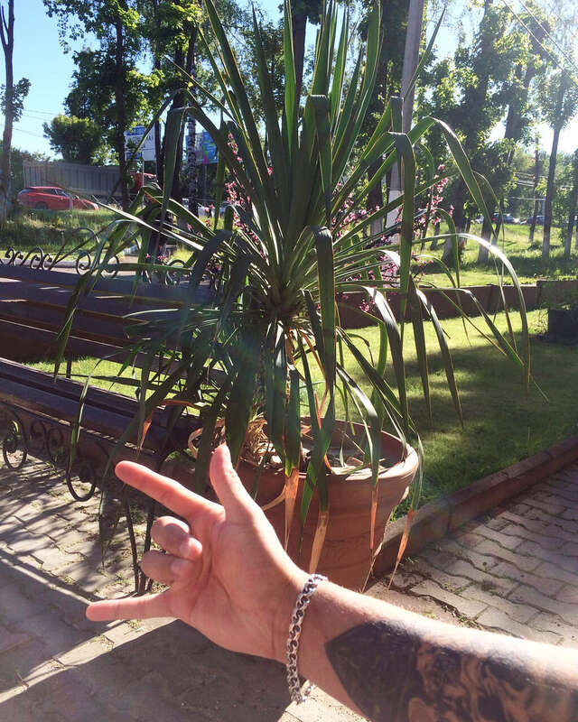 Гостиница Ливадия Истра-107