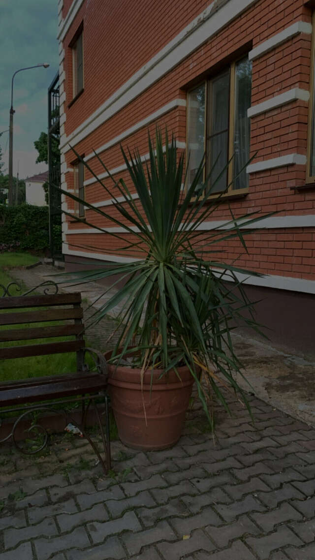 Гостиница Ливадия Истра-111