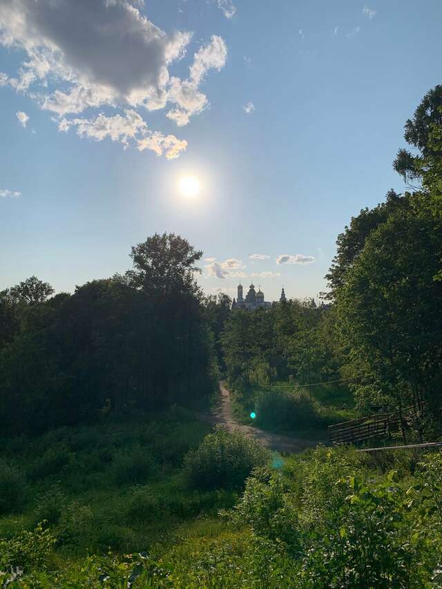 Гостиница Ливадия Истра-100